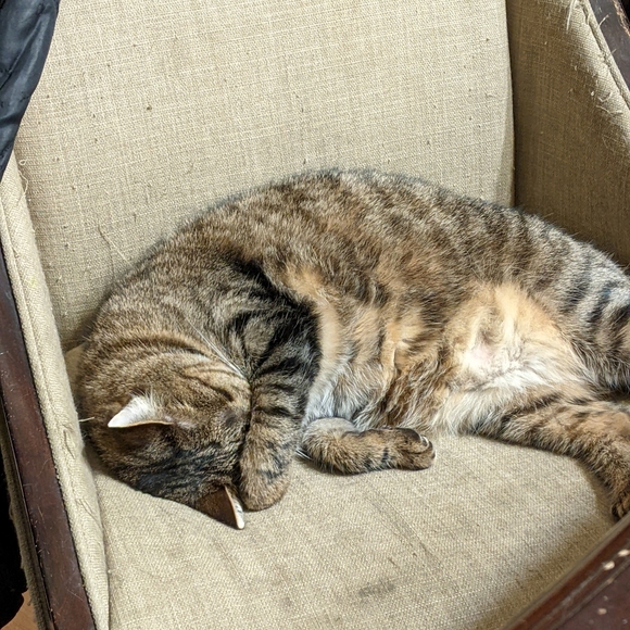 NOT FOR SALE - Picture 3 of 12